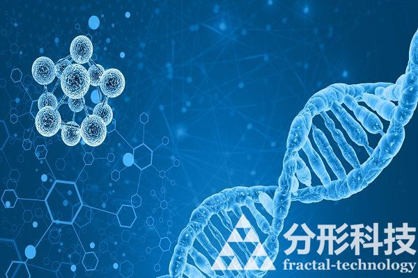 醫院網站建設：打造醫院與患者的無縫連接